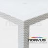  Mesa cuadrada Ratan de plastico blanca